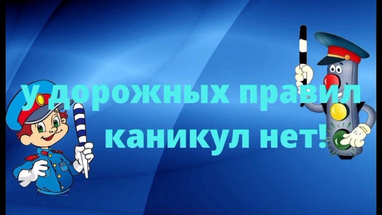 Агитбригада отряда ЮИД «Светофор».